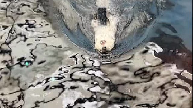 什么时候看到这个视频能不笑哈哈哈