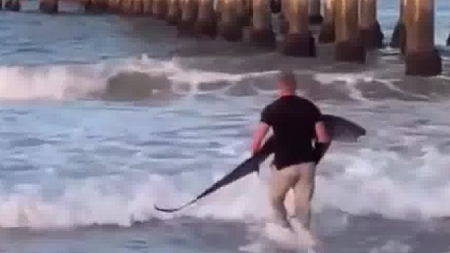 男子将长尾鲨放归大海