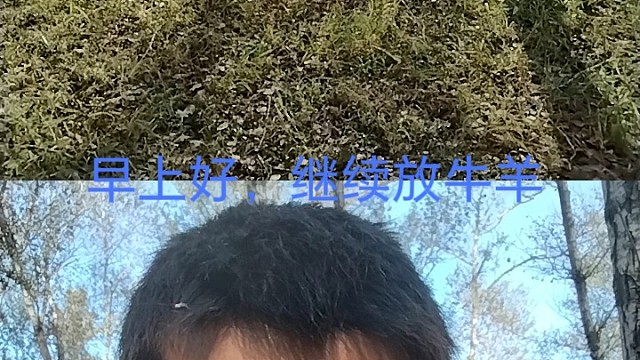 早上好，继续放牛羊