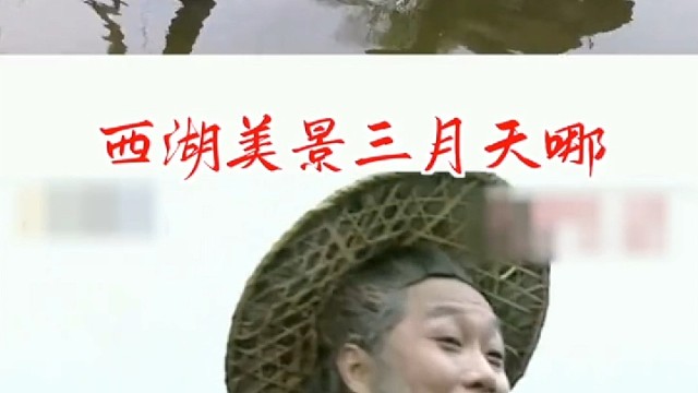 鲸头鹳的智商真的像二哈一样吗？它是怎么活到现在的?