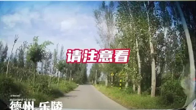 事发前还在聊天，下一秒车被撞翻！