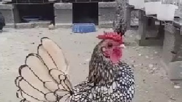 马良画出来的,机缘巧合吃了唐僧肉货到了现在