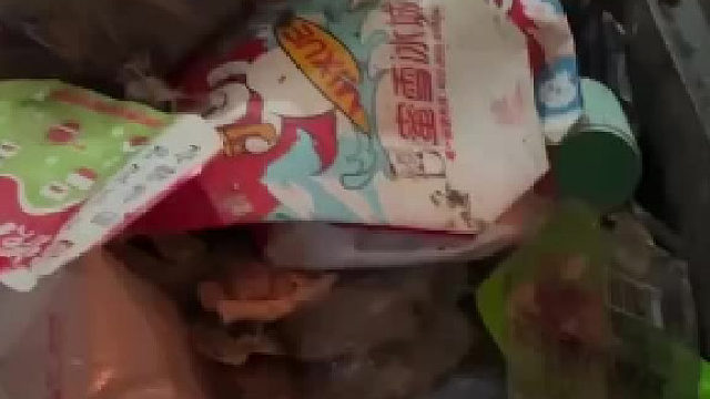 这得懒成啥样了？