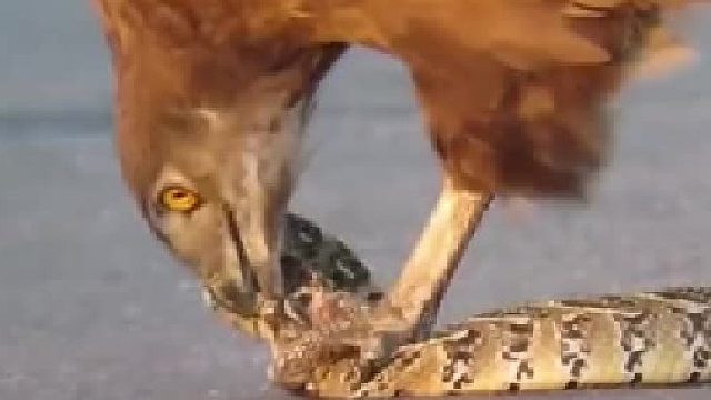 这该死的抽离感