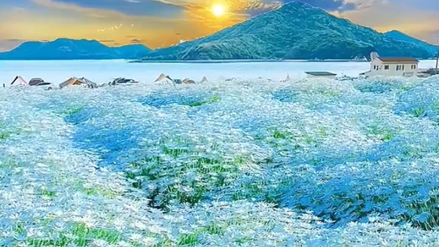 “做合时宜的事，爱的时候就说爱，该热烈的时候就不要刻意地表现出冷清当下的浪漫是生活各个阶段的限定款，