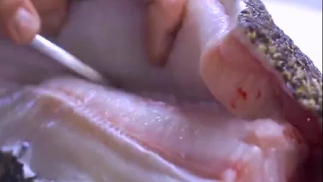 残忍背后都是什么样的人在等待……