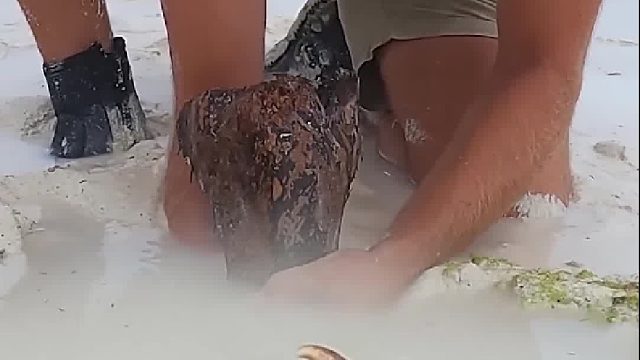 户外一只大螃蟹，有口福了