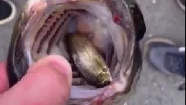 我发布了一个新视频，快来围观吧！