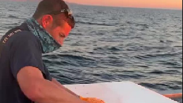 他扔的鱼头鱼尾都能做出一道美味的鲜汤