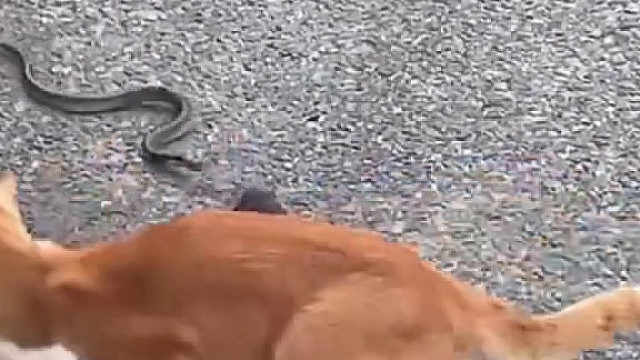 一群爱看热闹的家伙