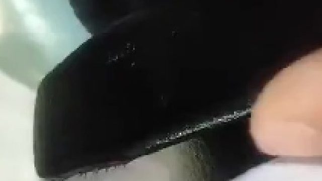 谢谢你，让我知道原来蟑螂也会叫