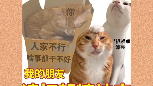 植物神经紊乱对我们的生活有多大影响