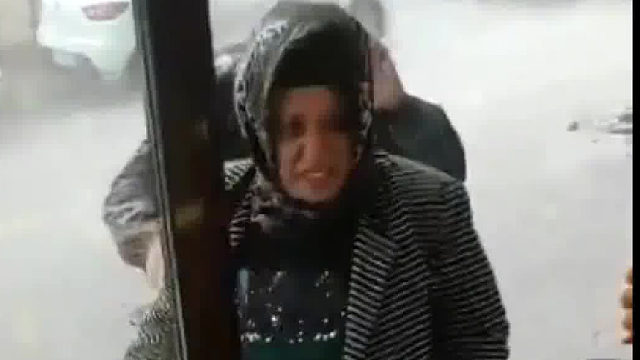 鸽子：谢谢好鸽们儿