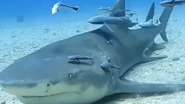 带你去看海底世界