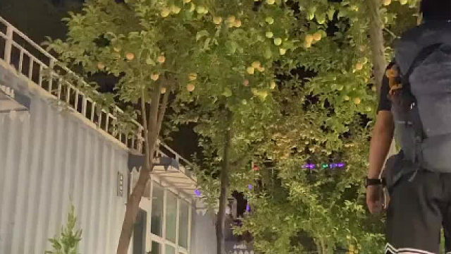 南方人第一次见到苹果树时的反应…