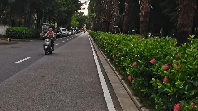 热门音乐！好听歌曲！