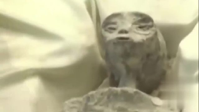千年外星人尸体？