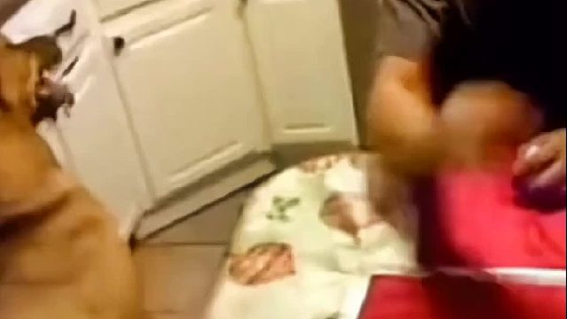 狗子_小子来，一决生死