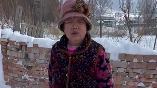 它好像能听懂一样