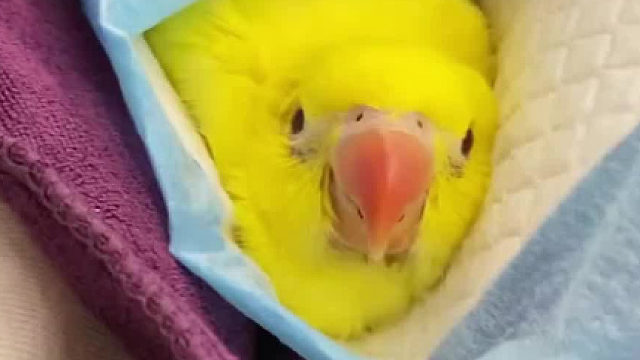 时间真的好快啊