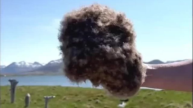 为什么羽绒服不防水呢