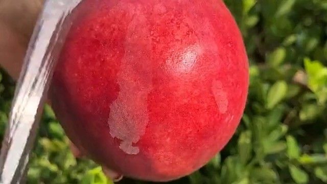 学会了吗？这种切法