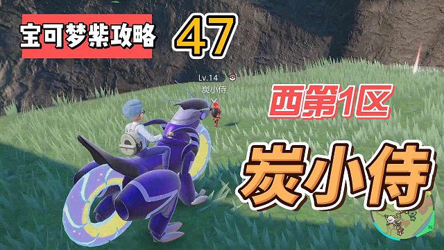 宝可梦朱紫攻略47：西区，炭小侍