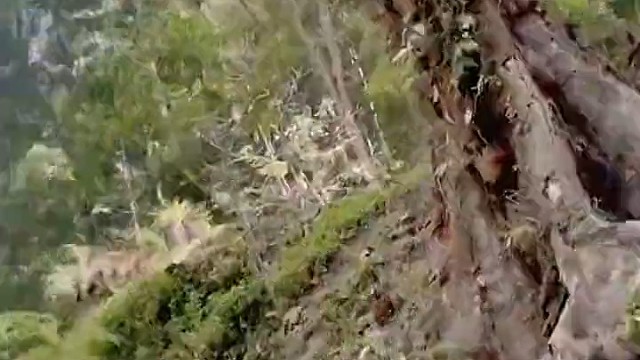 女生手里拿了鱼食么？