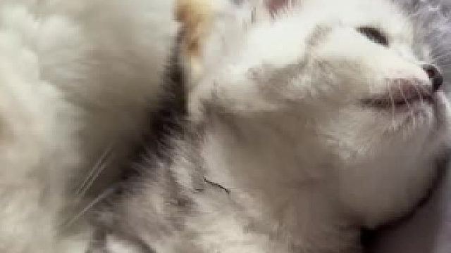 真是像及了我被老妈洗脸的小时候， 母爱可能有一点，怎么感觉不太多