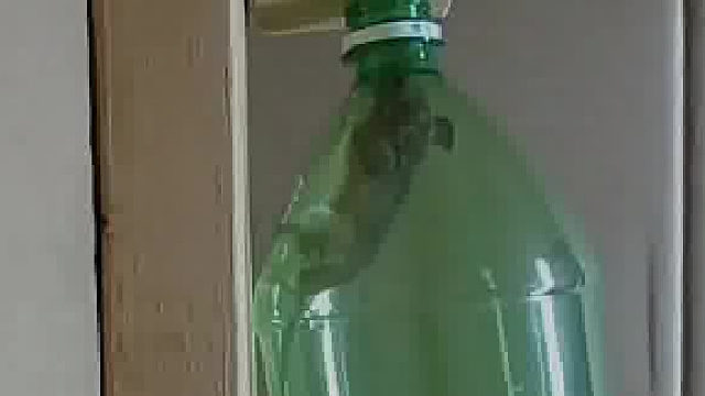 简单有效的捕鼠神器，看似不可能