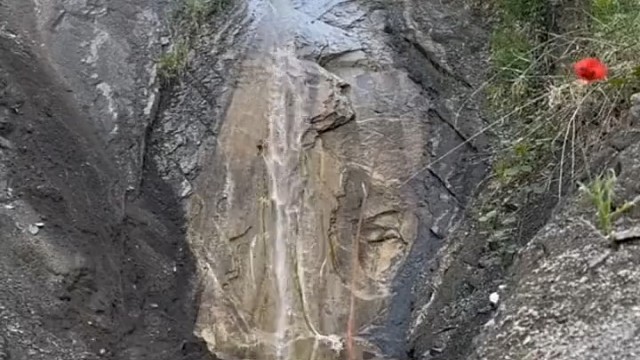 这是遇到猪队友了！