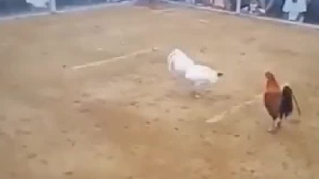 不知道伤到哪个位置了，看不出来