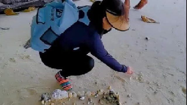 内陆的孩子羡慕了。。海边的无法想象这个对我的诱惑有多大