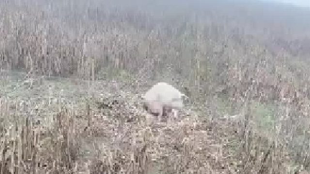 你如果遇到这样的情况，你会怎么办