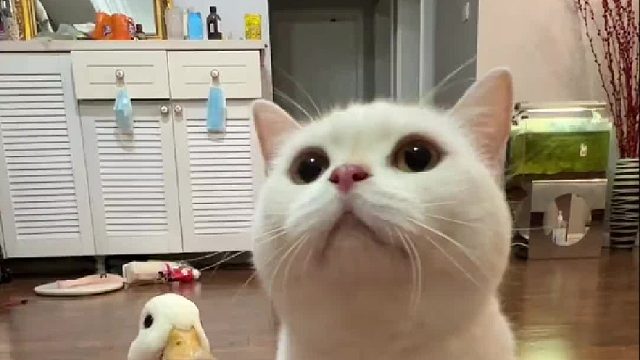 好养活：坏了冲我来的