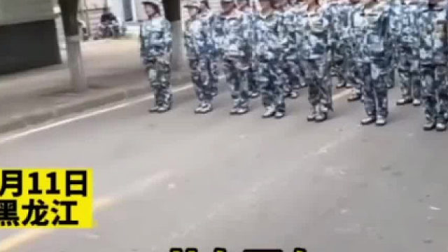 教官下达指令“报数”，结果学生纷纷“抱树”