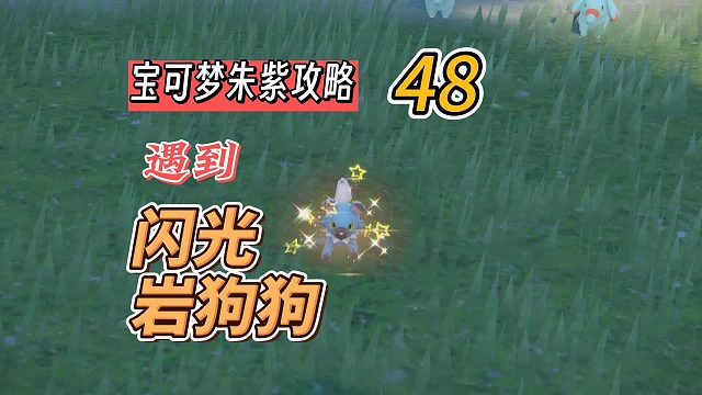 宝可梦朱紫攻略48：遇到闪光岩狗狗