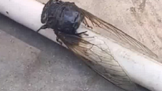 现在的80 90后们，上有养育之恩未报，下有抚育之责未尽，所以就是再累也没有倒下的资格