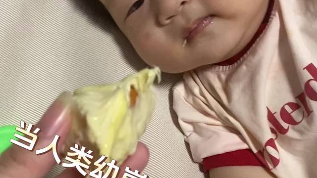 人类幼崽吃榴莲