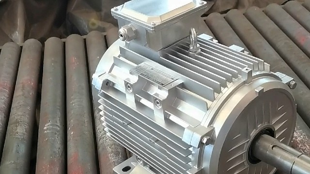 纵有疾风起，人生不言弃