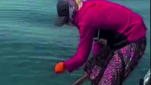 这种鱼不敲死直接拉上来没几个人抱得住