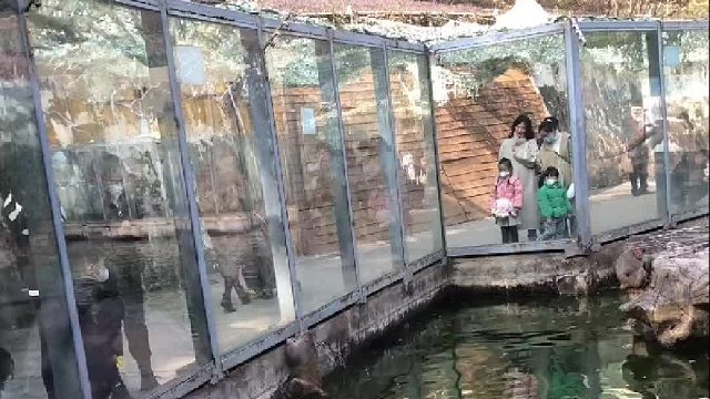 猴哥这世上没有你在乎的猴了吗