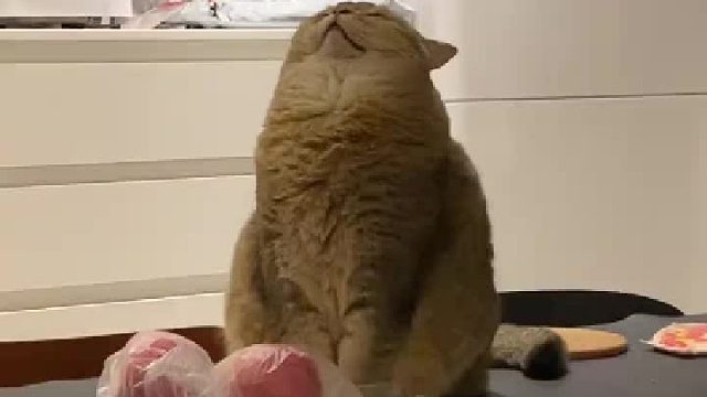 我发布了一个新视频，快来围观吧！