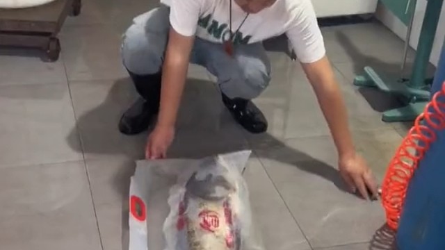 活鱼是这样打包的