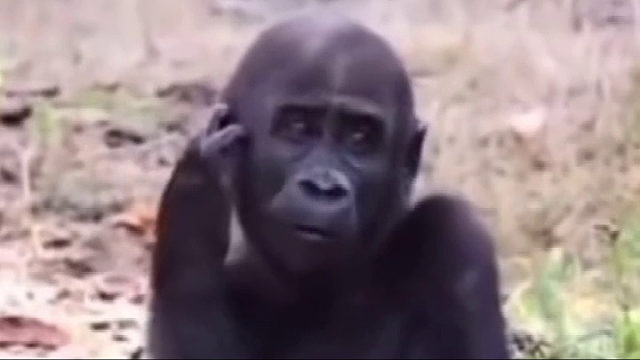 大家玩滑板的时候一定要小心呀