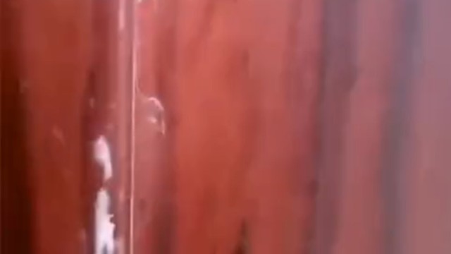 这弹的哪是童话啊，这就是神话啊。