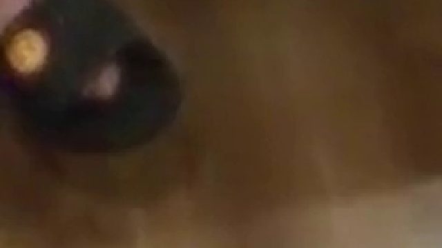 抓住了蝉，就等于抓住整个夏天，不过在网友这里，万物皆可“蝉”