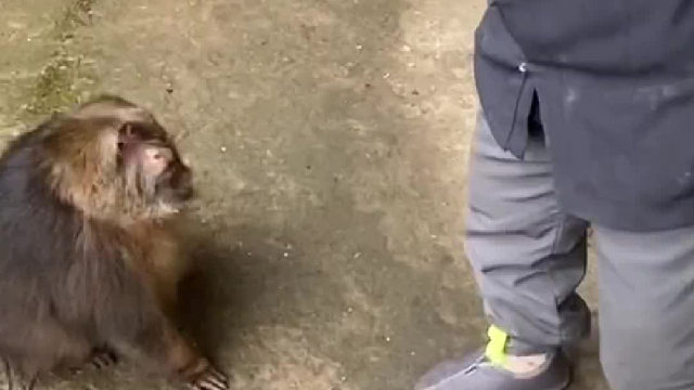 星星想还手是本性，忍住了就是灵性。