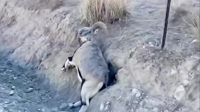 像被无形之网网住了一样。