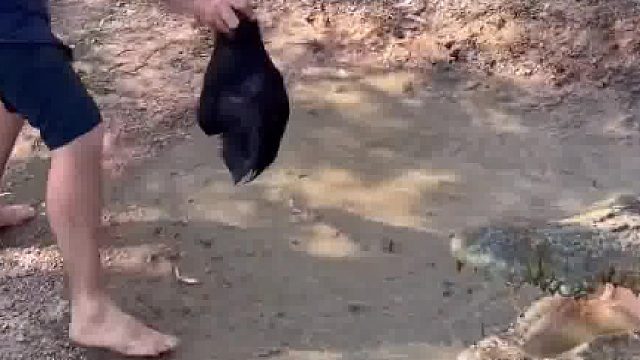 看小可爱干饭…